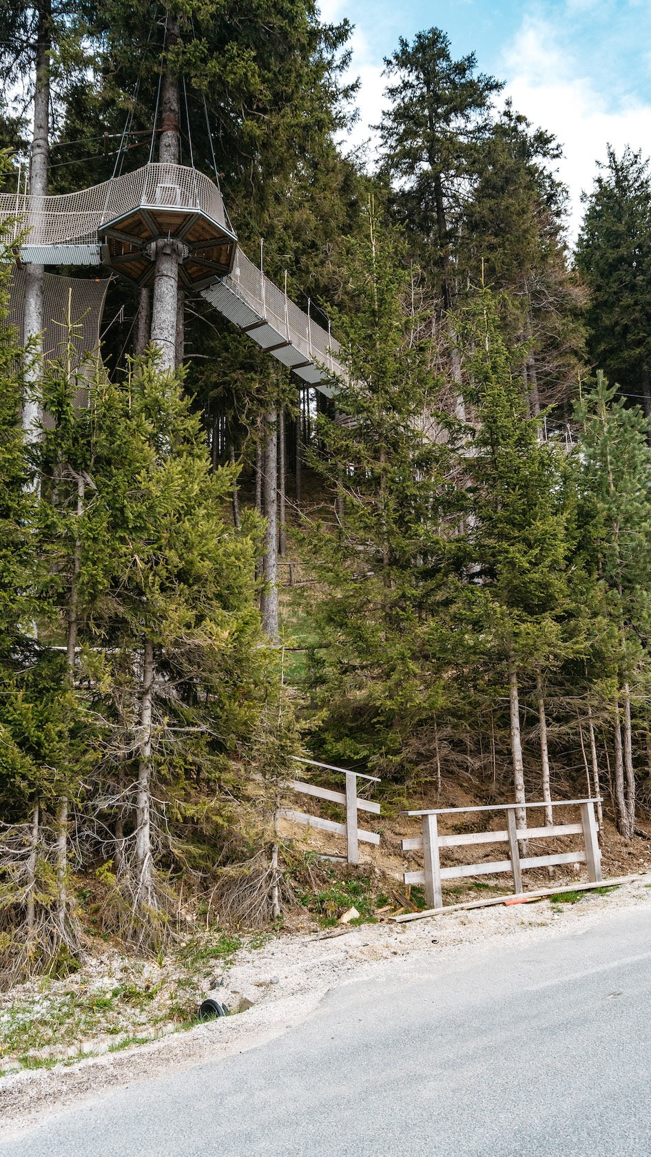 walk under the trees