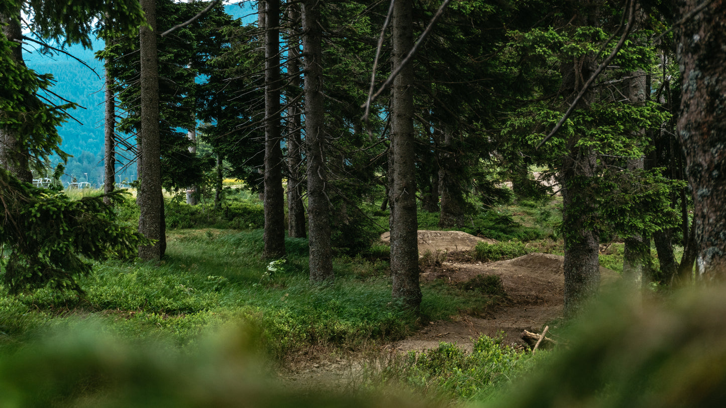 1 Day Trail Use Ticket