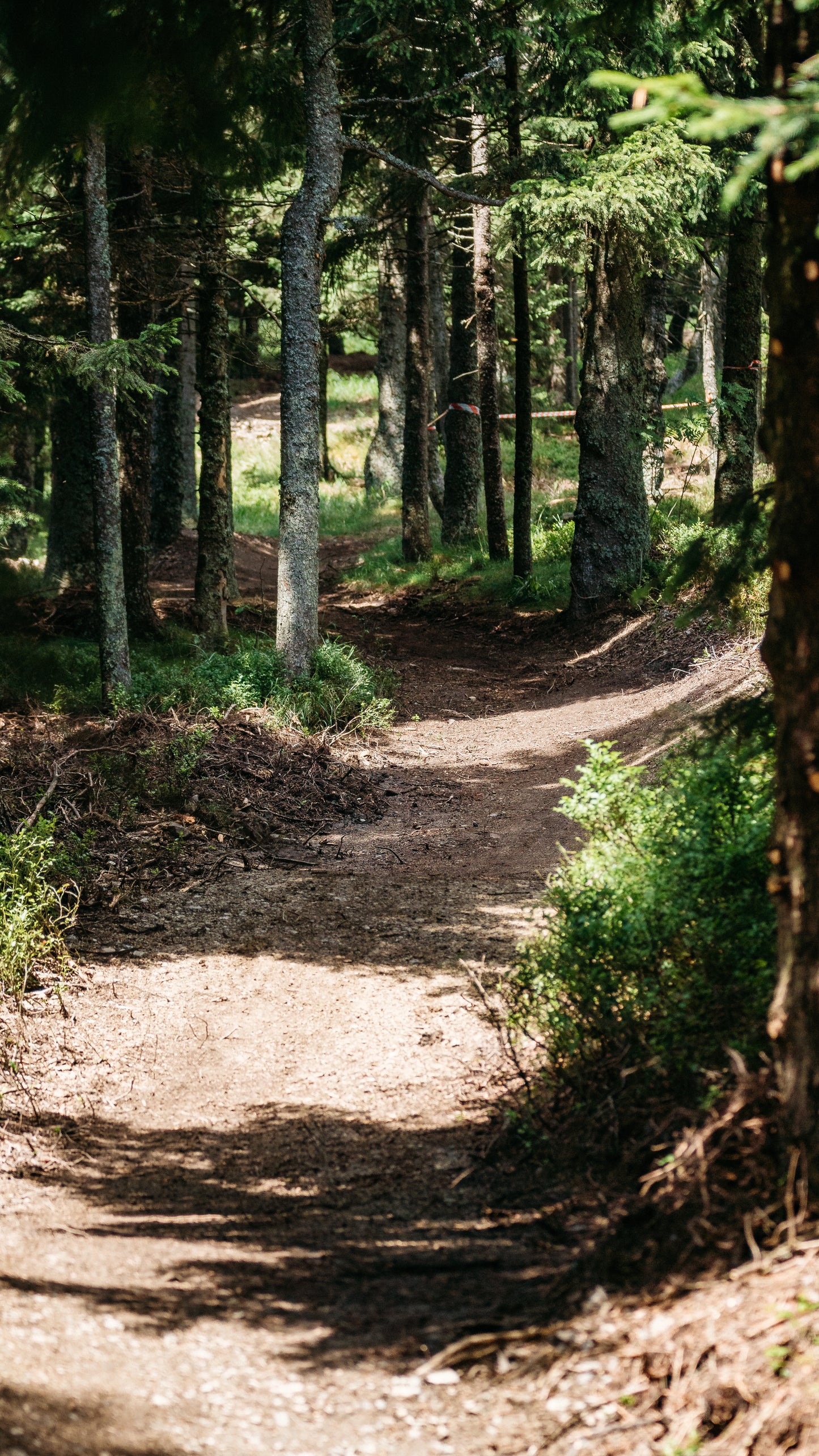 1 Day Trail Use Ticket