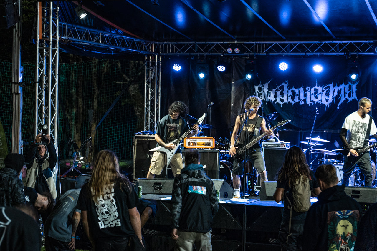 3 Days - Festival Ticket