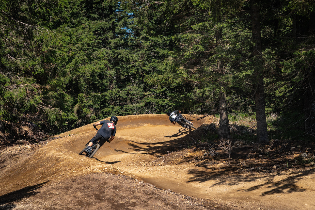 2 Days Bike Park Ticket