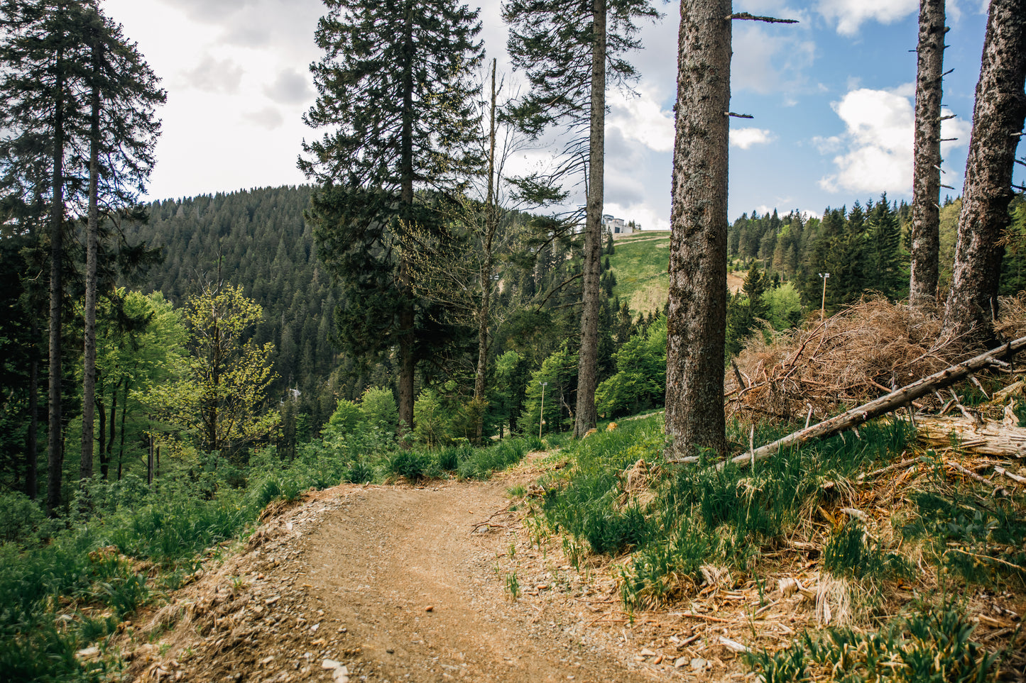 5 Days Bike Park Ticket