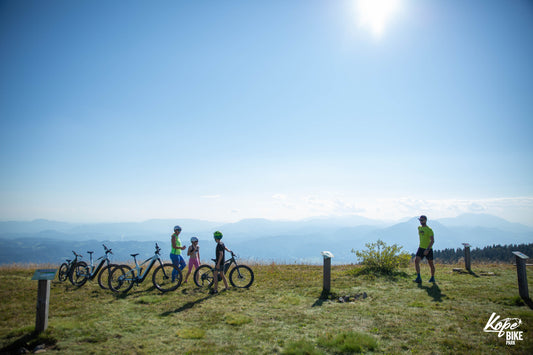 3 Days - Family Festival Ticket