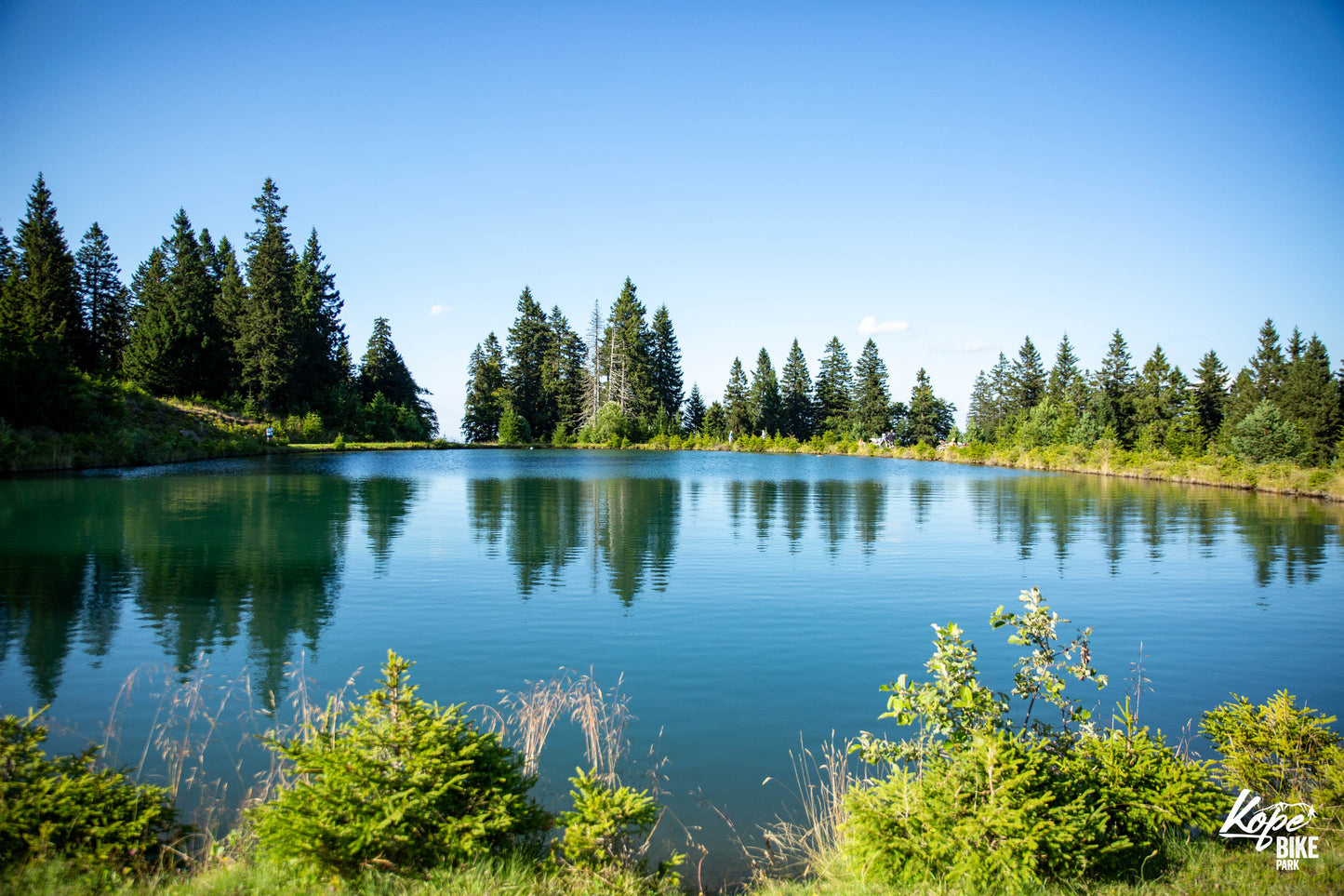 3 Days - Family Festival Ticket